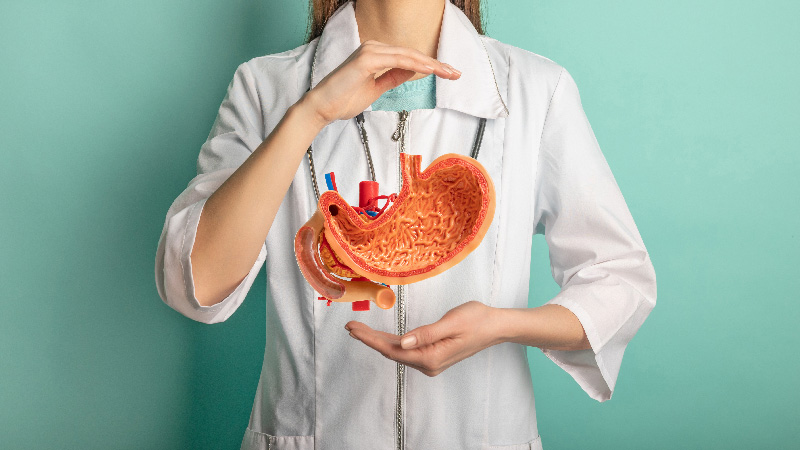 Ärztin mit anatomischem Magenmodell